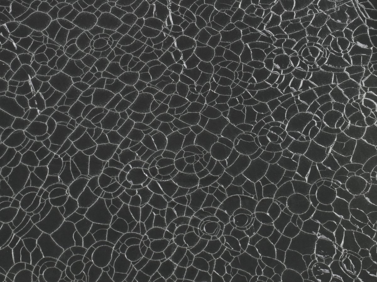 Crackle Effect Laminated Deerskin Leather